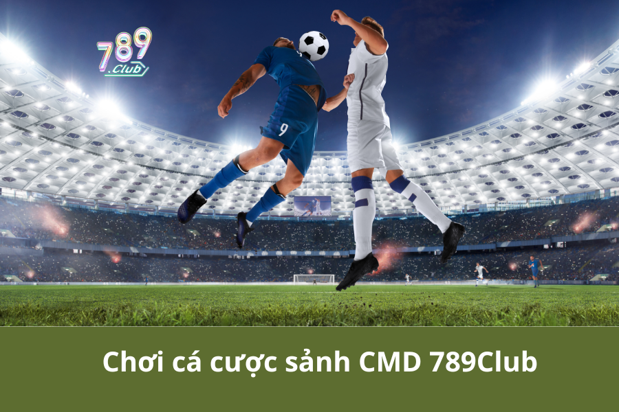 Chơi cá cược sảnh CMD 789Club