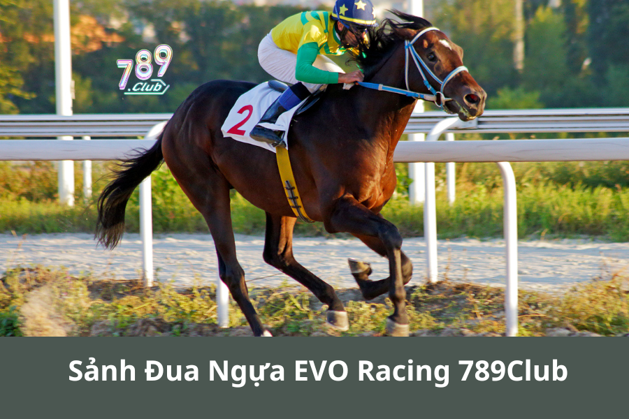 Sảnh Đua Ngựa EVO Racing 789Club